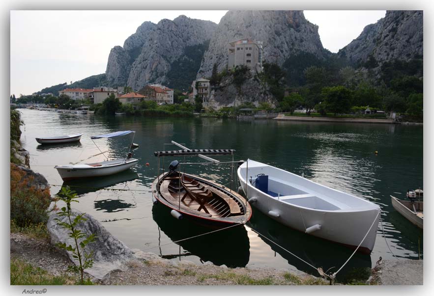 Omis