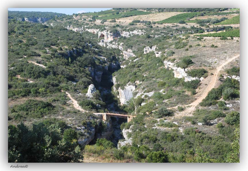 Landschap Minervois